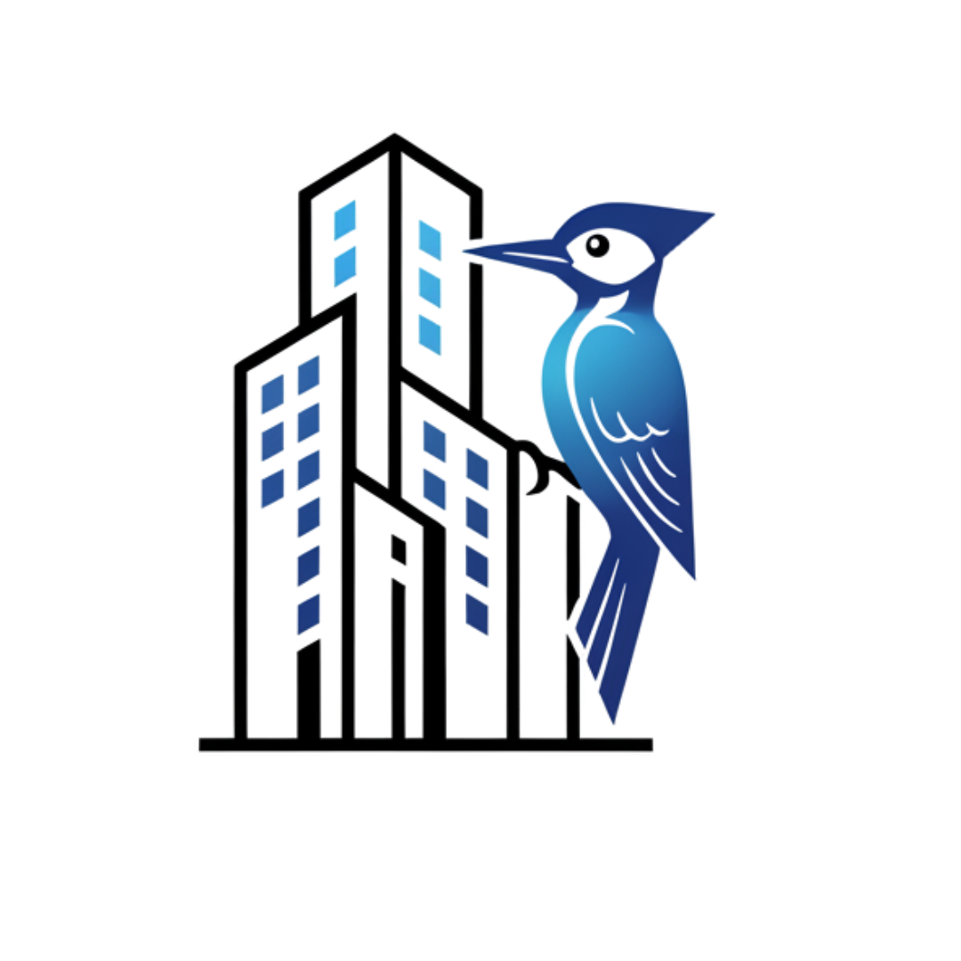 My Workspace Match SRL